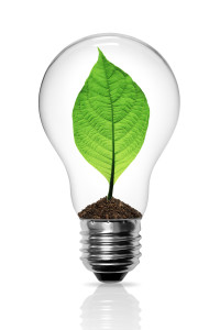 shutterstock_86789908